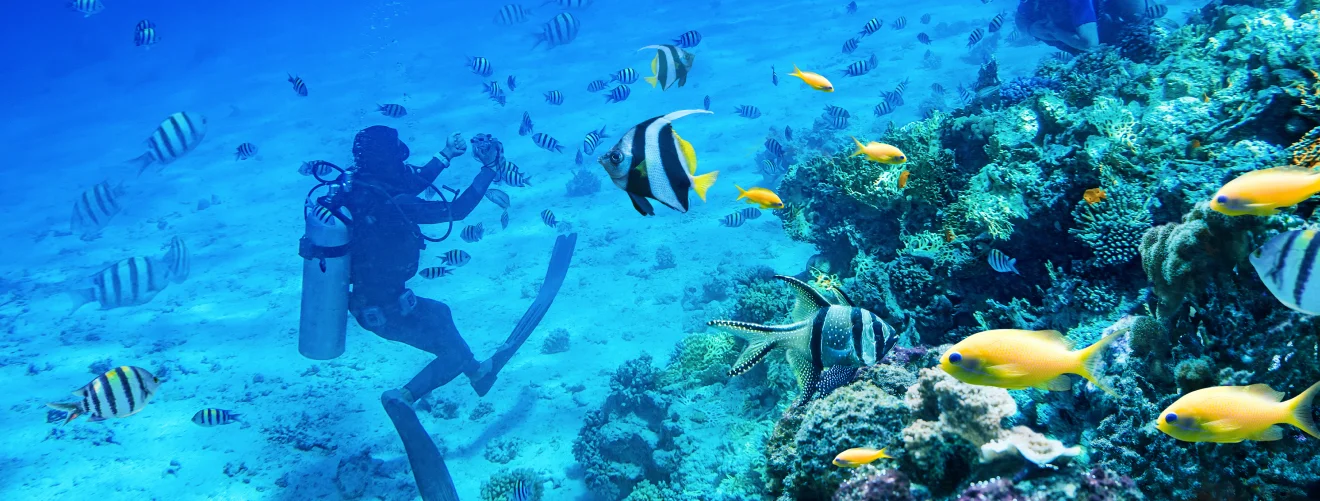 Immerse yourself in the underwater wonders of Bali's dive sites